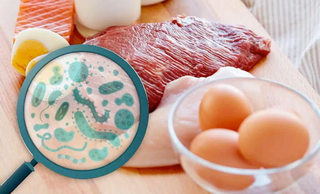 Salmonella3