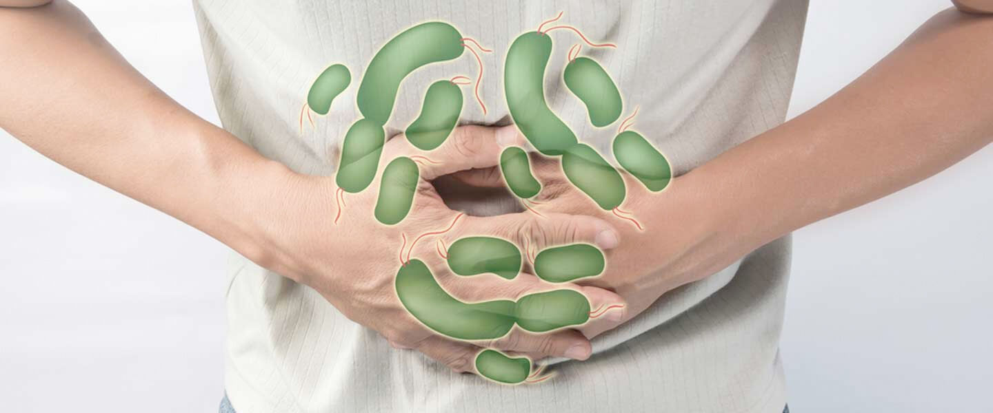Salmonella1